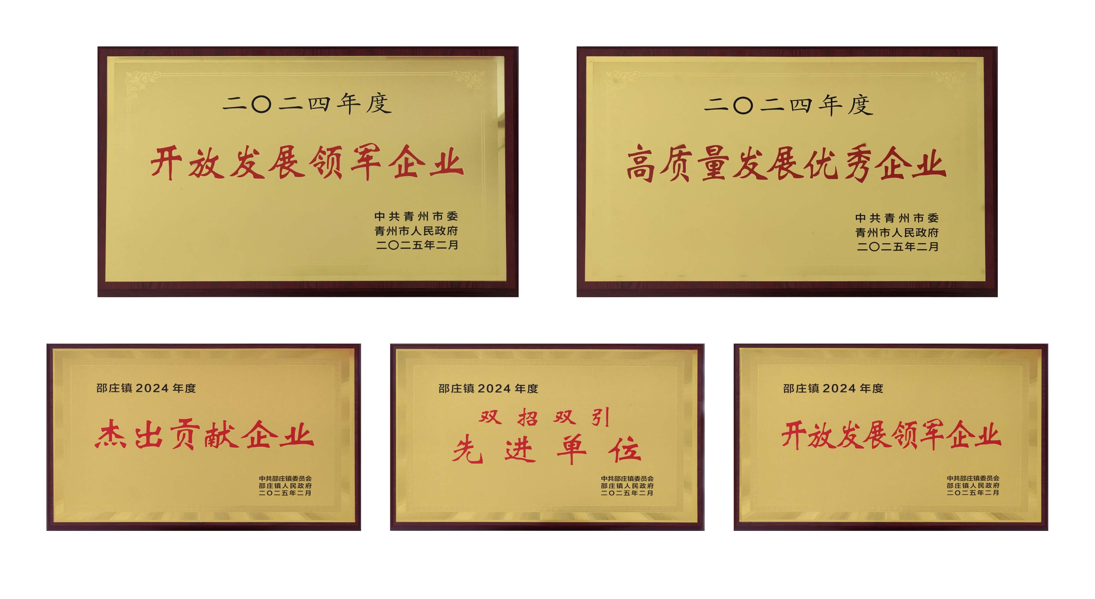山东比分365医疗荣获多项殊荣